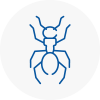 Ant Removals In Hadfield