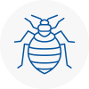 Bed Bug Extermination In Hadfield