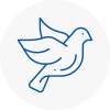 Bird Prevention Hadfield