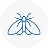 Moth Control Specialists In Hadfield