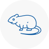Rat Control Hadfield