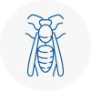 Hadfield Wasp Nest Removal